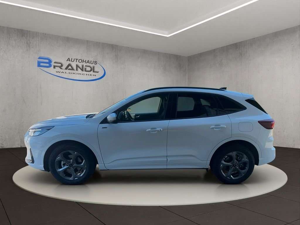 Fahrzeugbild eines Ford Kuga