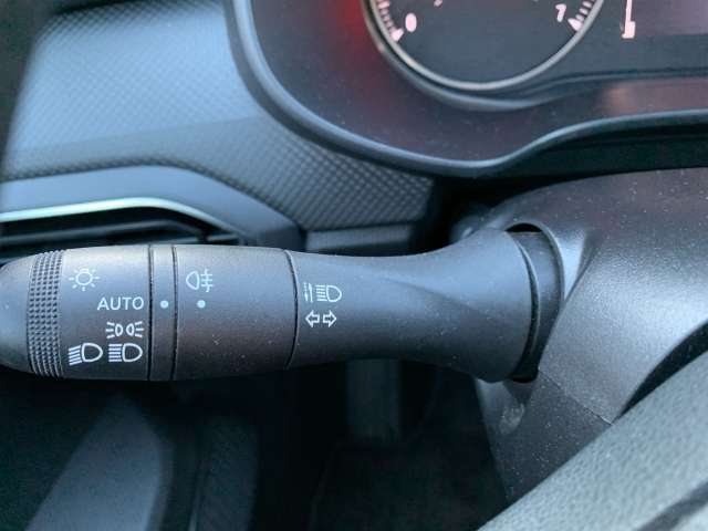 Fahrzeugbild eines Dacia Sandero