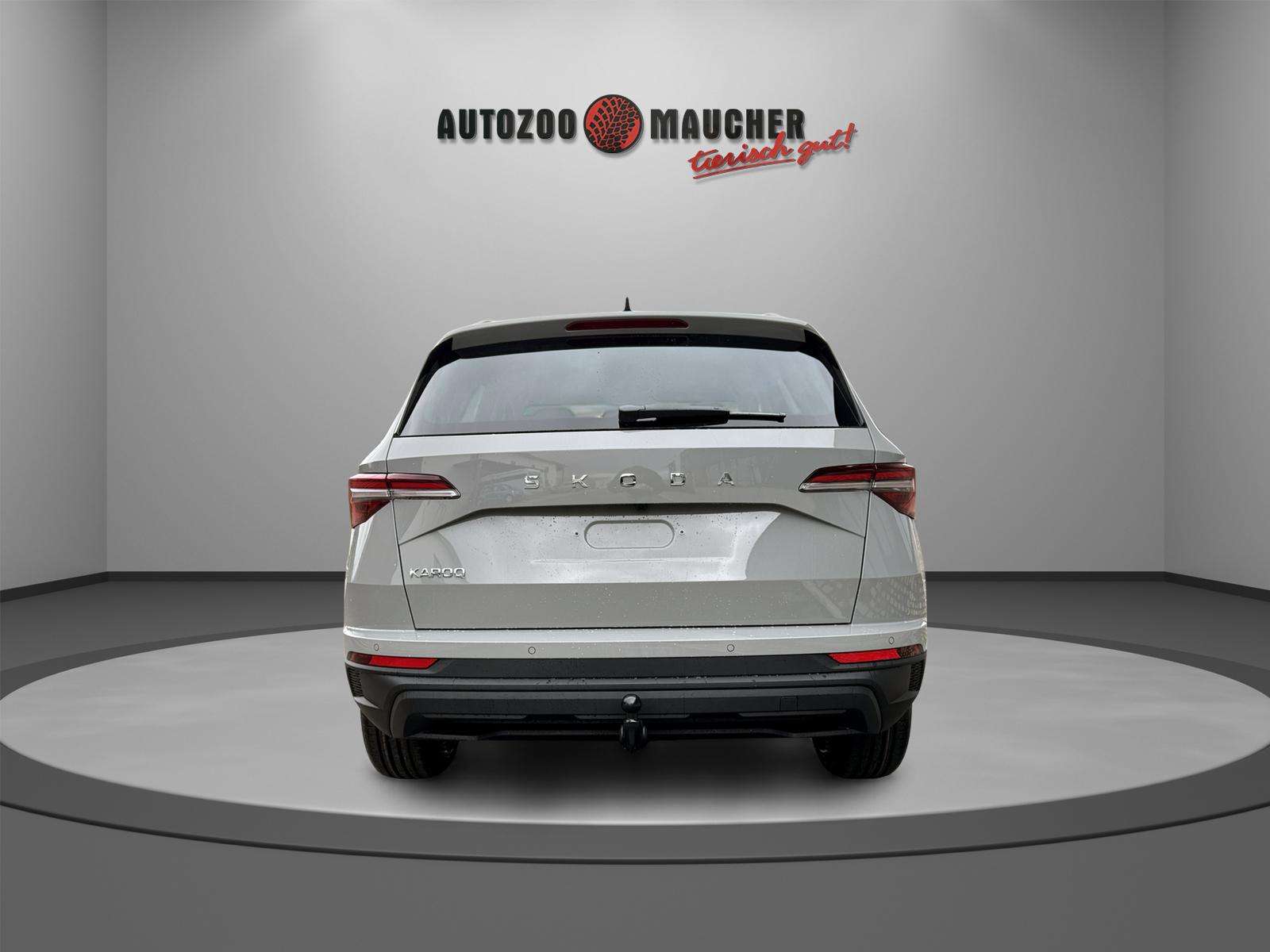 Fahrzeugbild eines Skoda Karoq