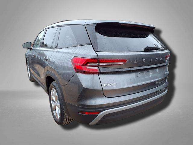 Fahrzeugbild eines Skoda Kodiaq