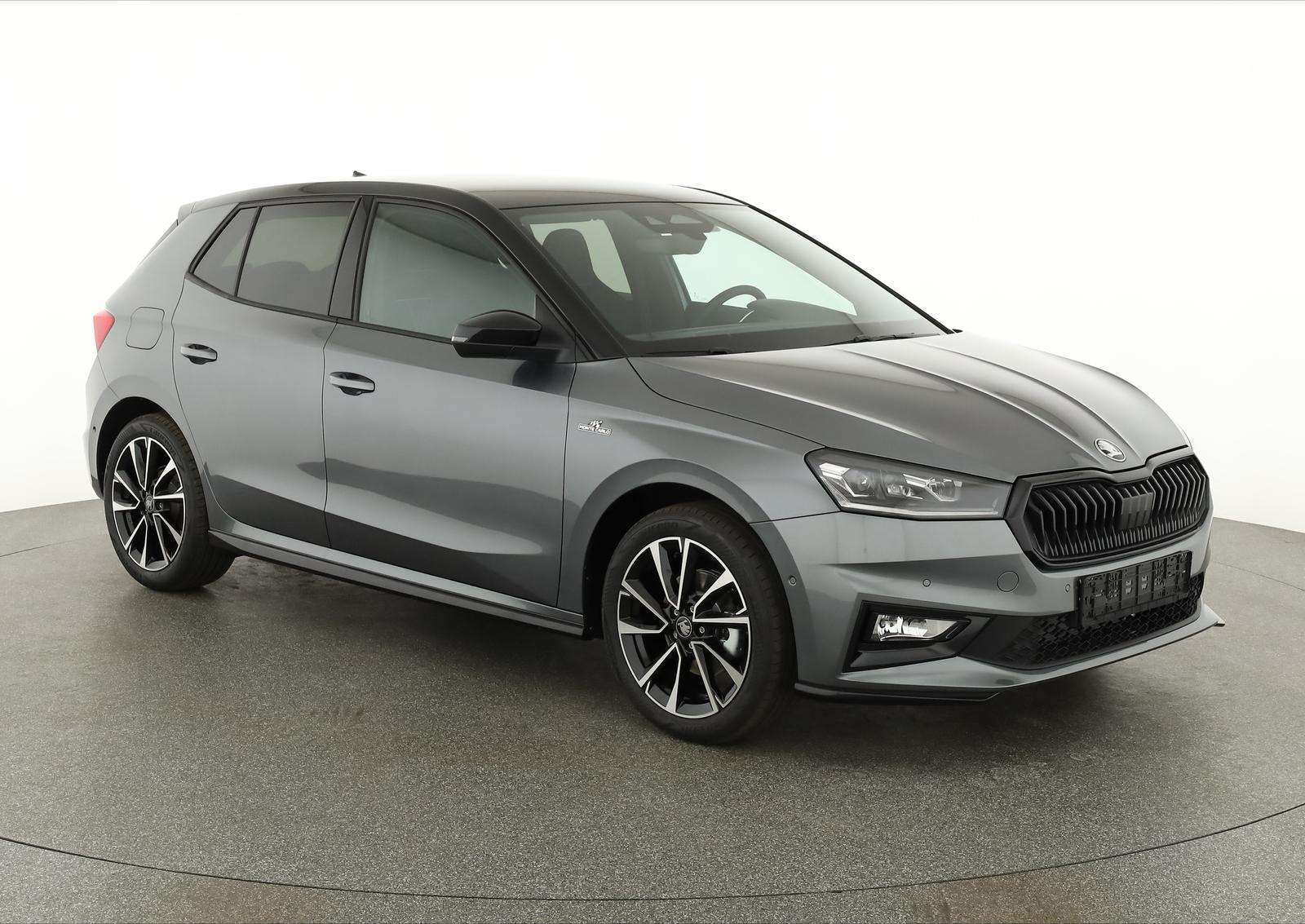 Fahrzeugbild eines Skoda Fabia