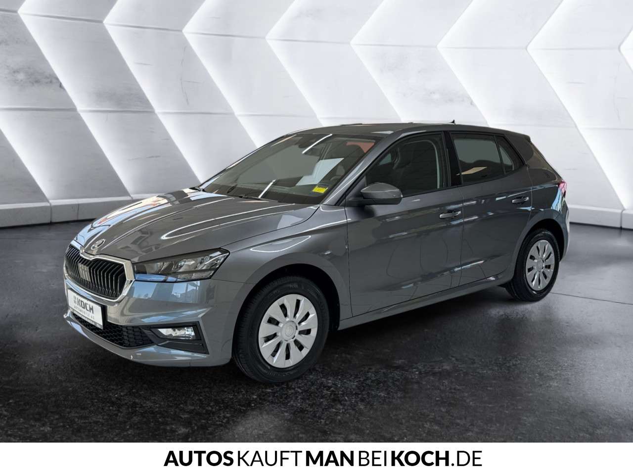 Fahrzeugbild eines Skoda Fabia