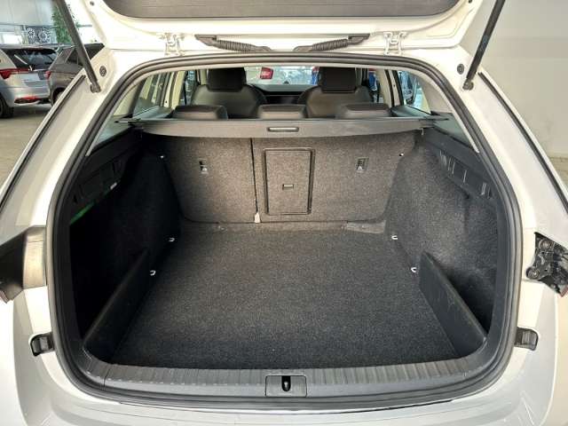 Fahrzeugbild eines Skoda Octavia