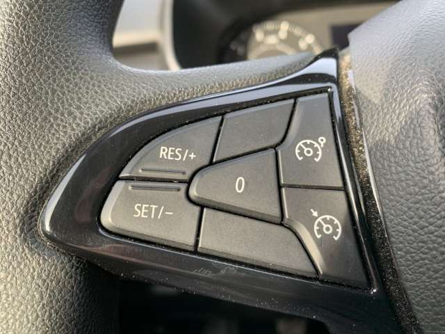 Fahrzeugbild eines Dacia Sandero