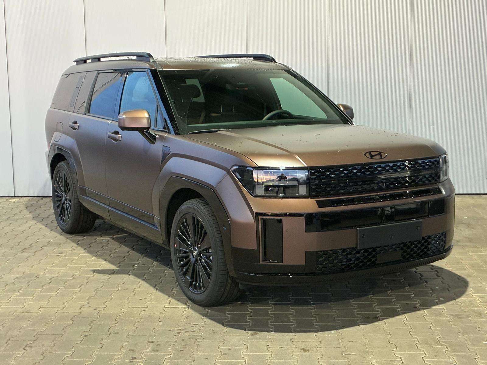 Fahrzeugbild eines Hyundai Santa Fe