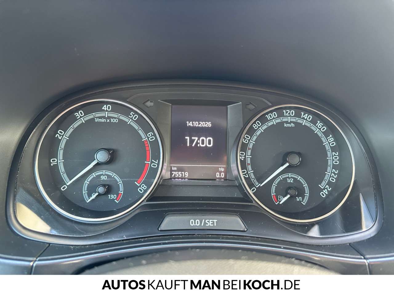 Fahrzeugbild eines Skoda Fabia