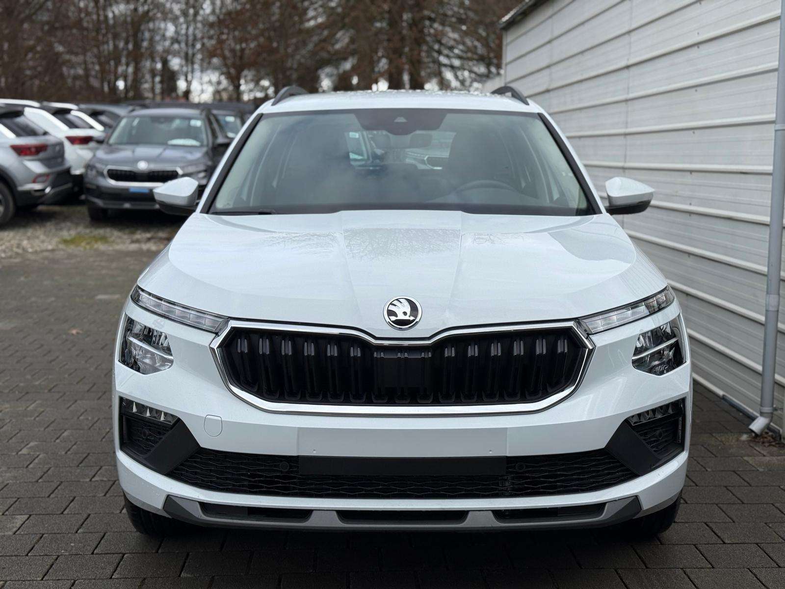 Fahrzeugbild eines Skoda Kamiq