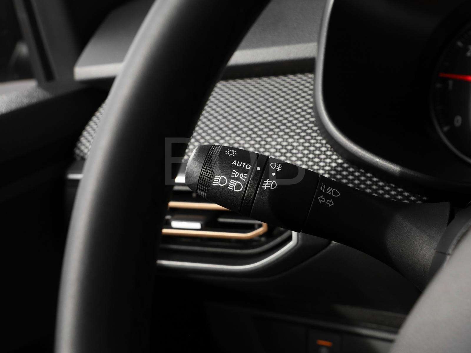 Fahrzeugbild eines Dacia Sandero