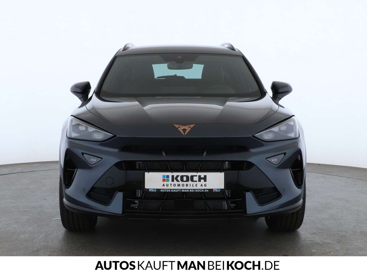 Fahrzeugbild eines CUPRA Formentor