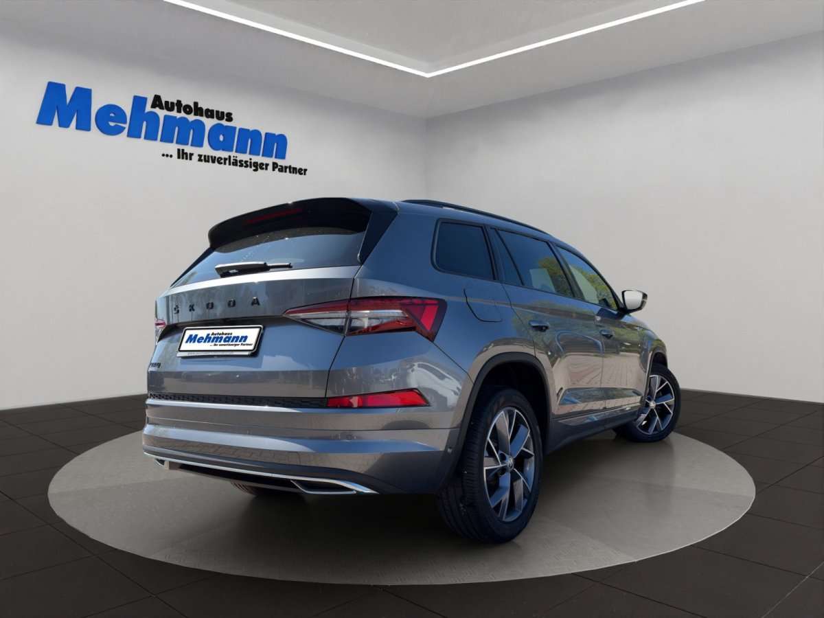 Fahrzeugbild eines Skoda Kodiaq