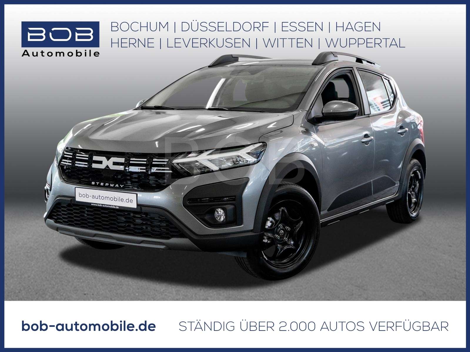 Fahrzeugbild eines Dacia Sandero