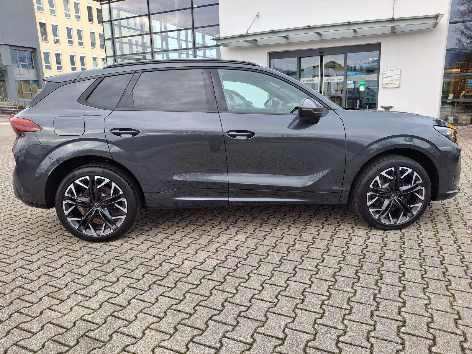 Fahrzeugbild eines CUPRA Terramar