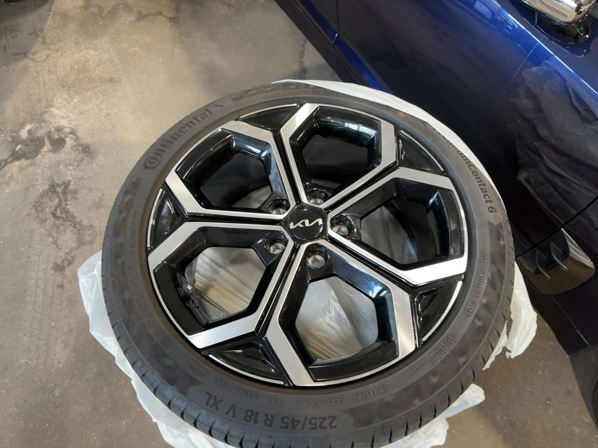 Fahrzeugbild eines Kia Niro