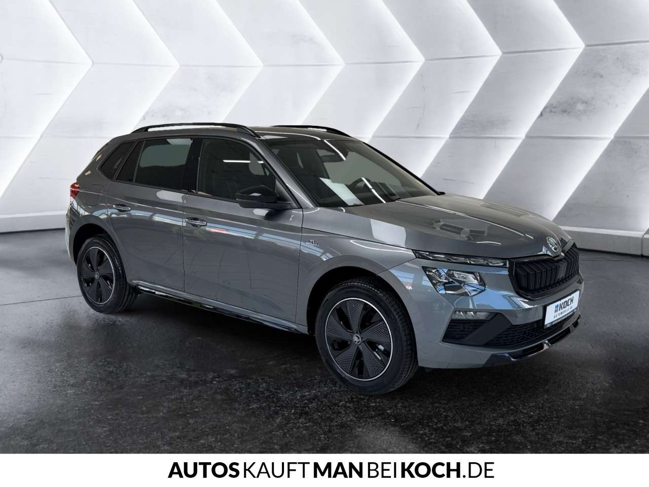 Fahrzeugbild eines Skoda Kamiq