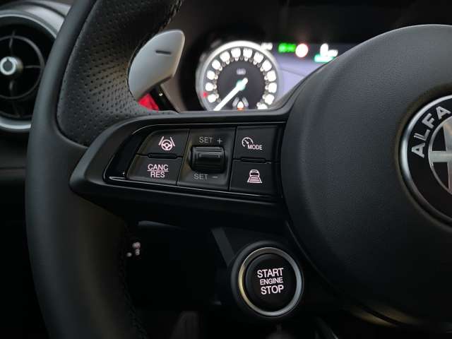 Fahrzeugbild eines Alfa Romeo Tonale