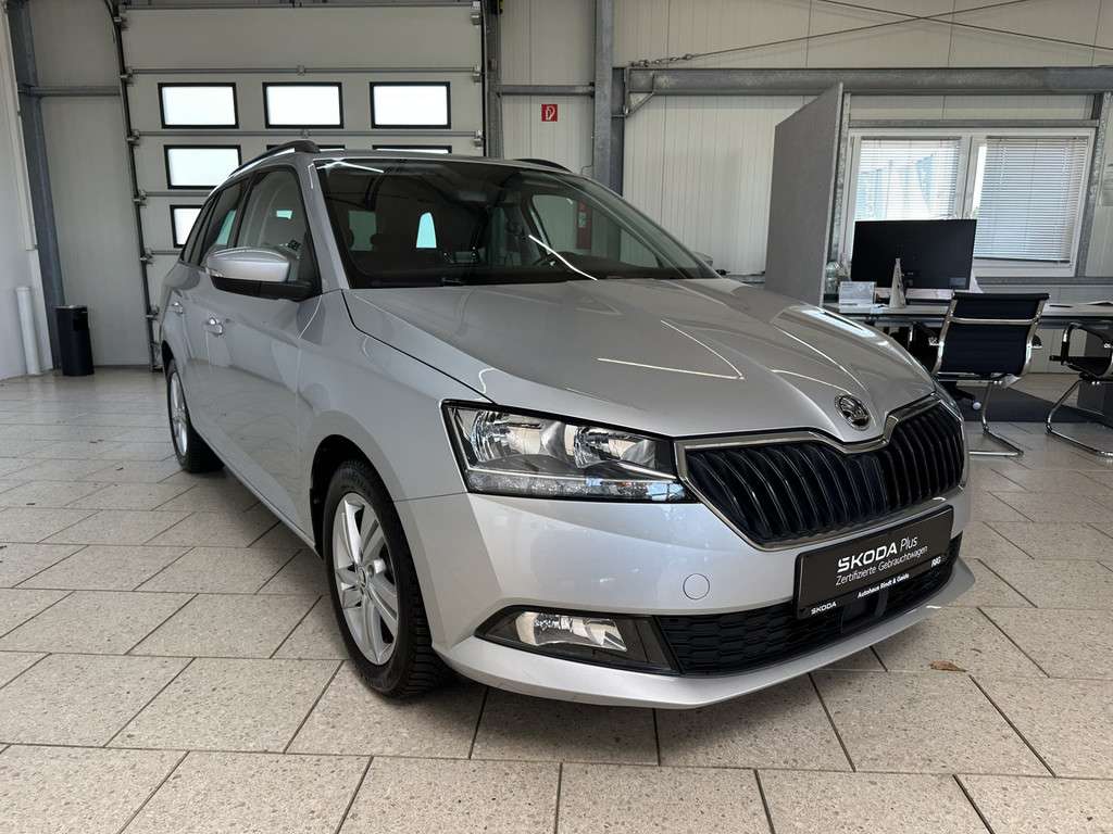 Fahrzeugbild eines Skoda Fabia