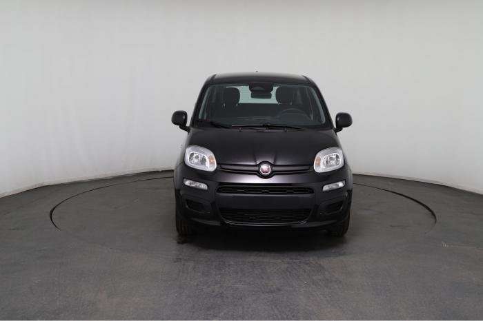 Fahrzeugbild eines Fiat Panda
