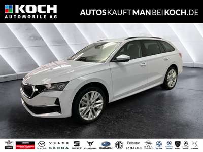 Bild Skoda Octavia