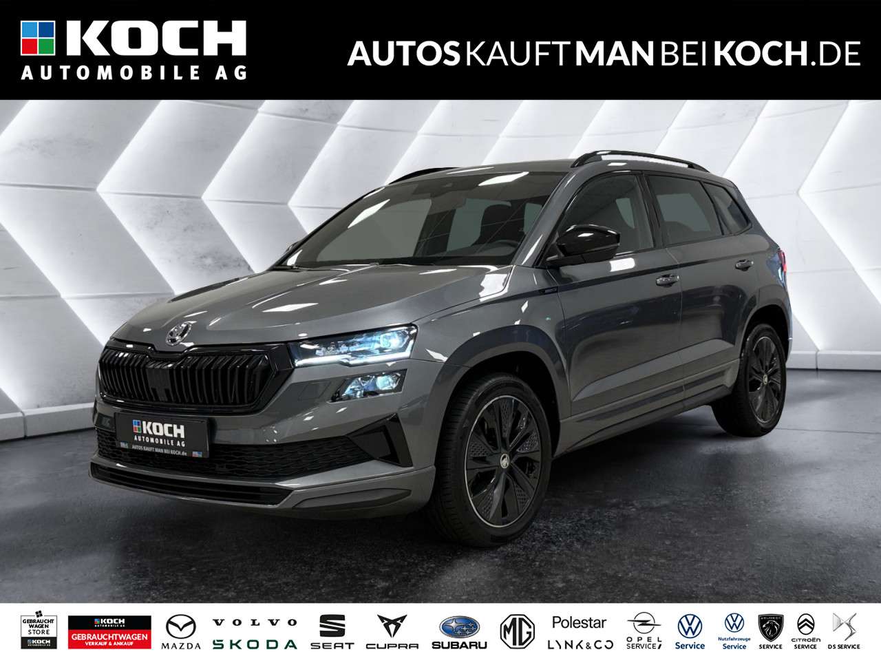 Fahrzeugbild eines Skoda Karoq