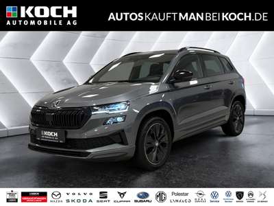 Bild Skoda Karoq