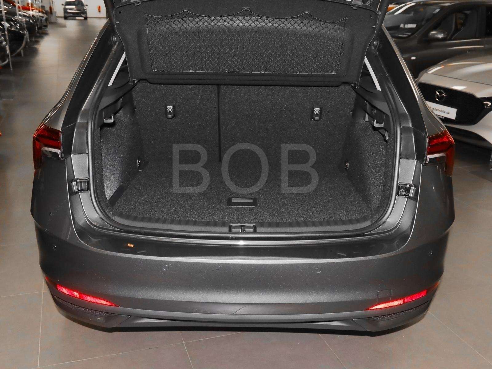 Fahrzeugbild eines Skoda Scala