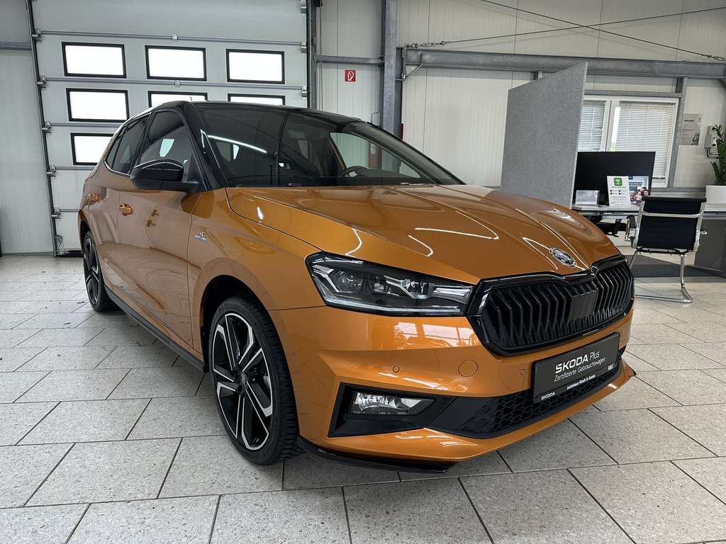 Fahrzeugbild eines Skoda Fabia