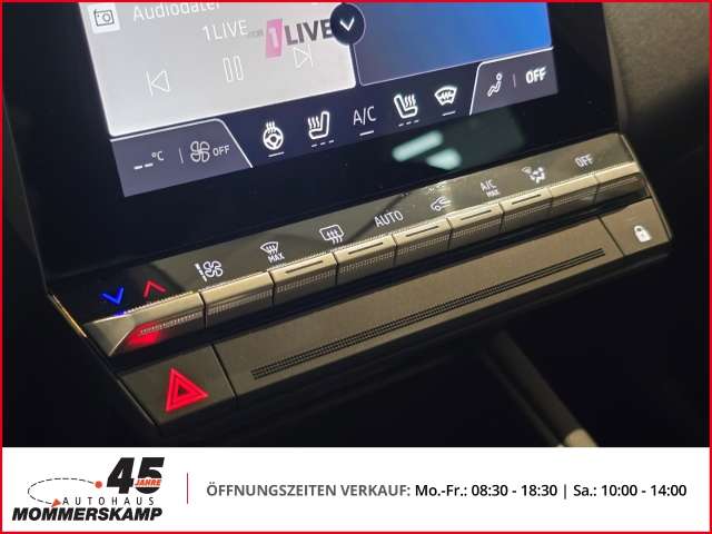 Fahrzeugbild eines Mitsubishi Grandis