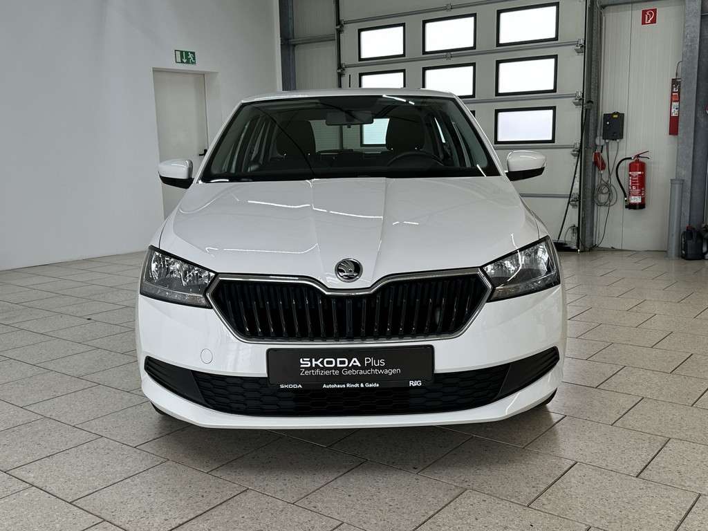Fahrzeugbild eines Skoda Fabia