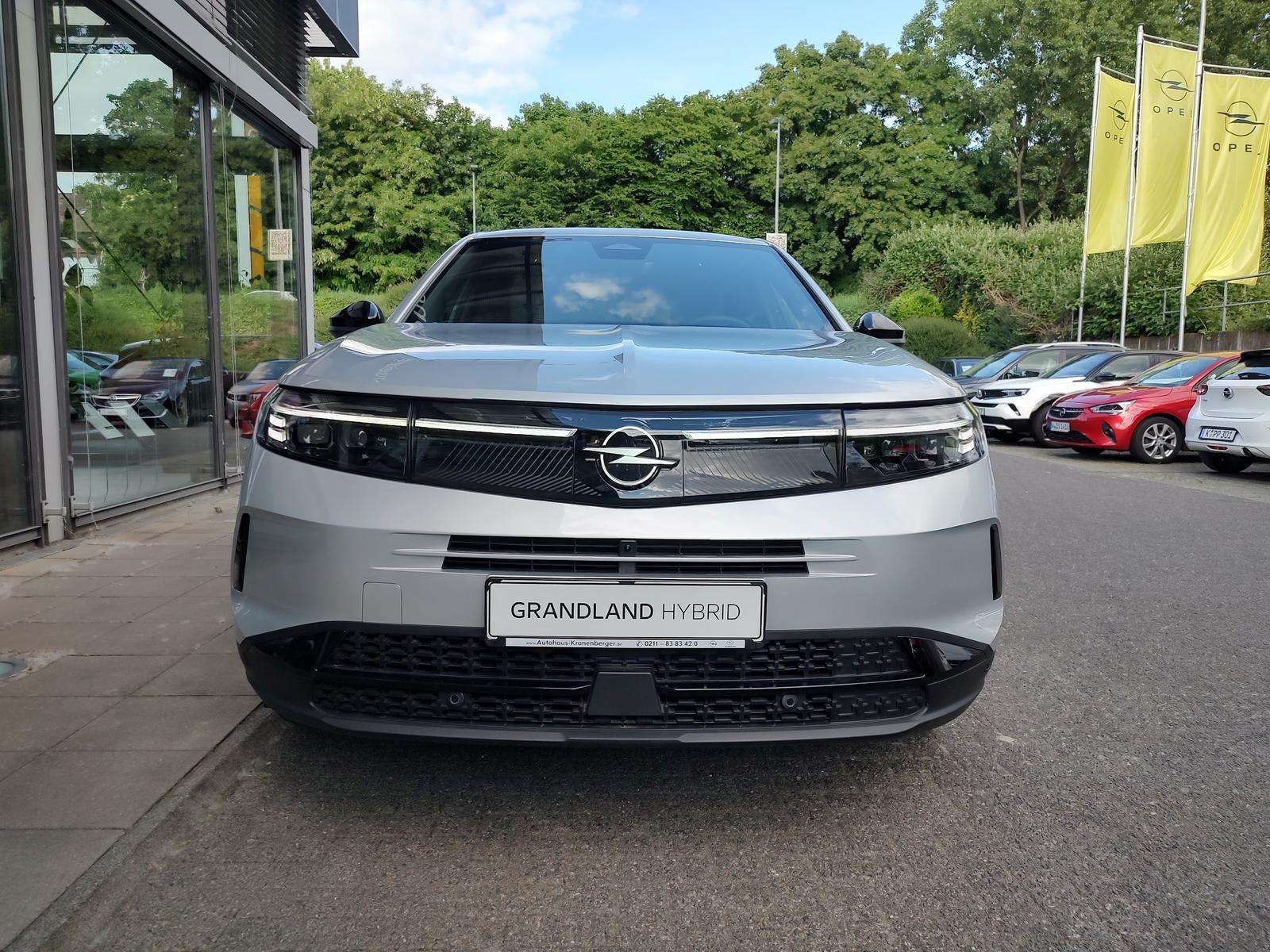 Fahrzeugbild eines Opel Grandland X