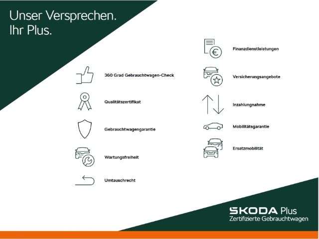 Fahrzeugbild eines Skoda Kodiaq
