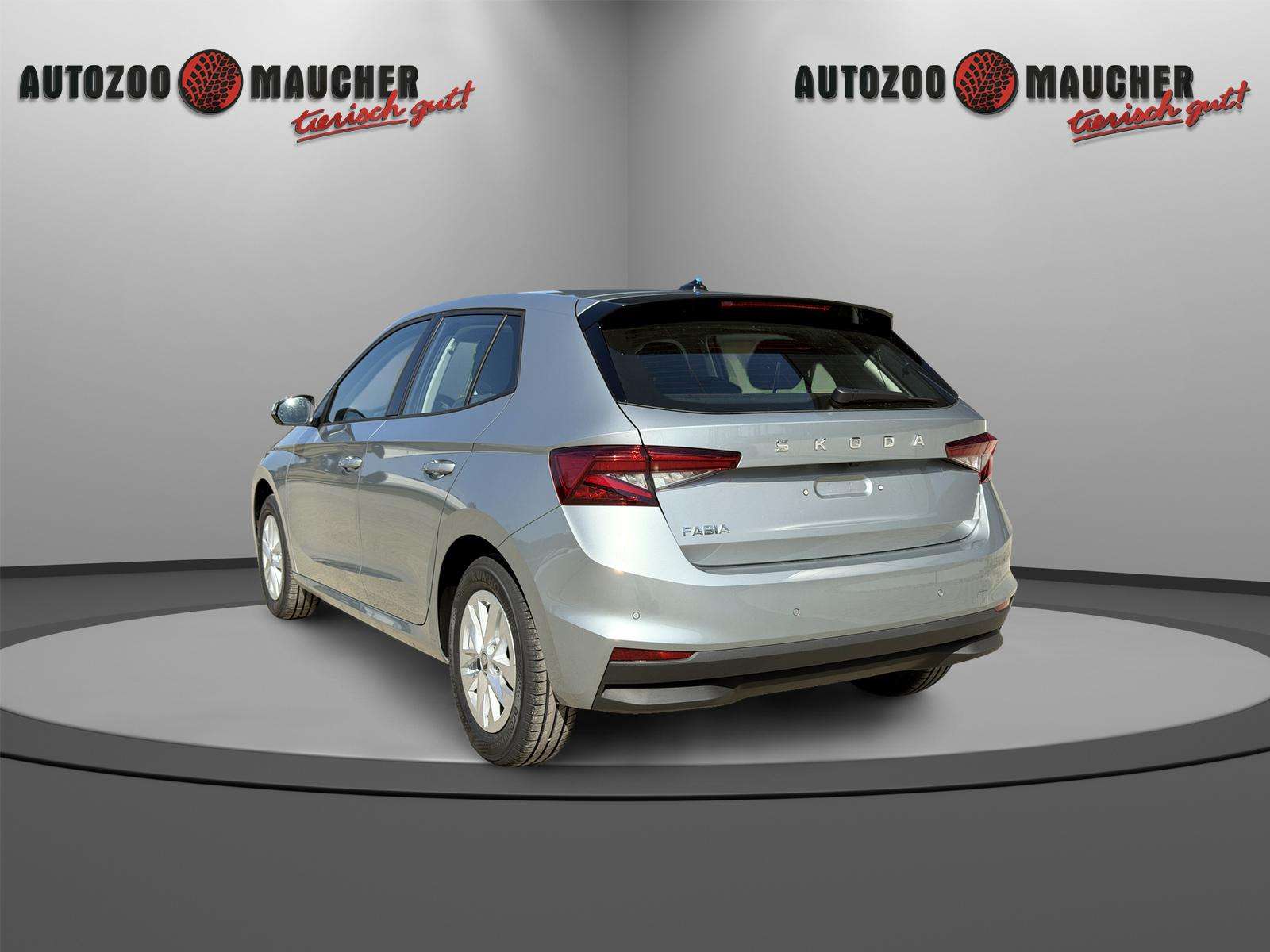 Fahrzeugbild eines Skoda Fabia