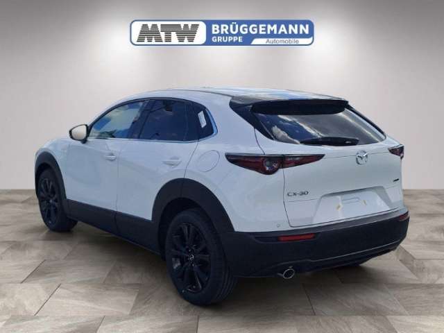 Fahrzeugbild eines Mazda CX-30