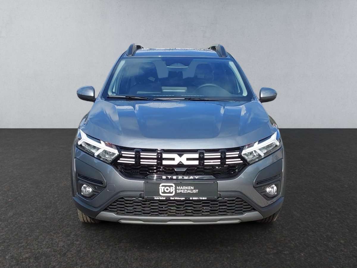 Fahrzeugbild eines Dacia Sandero