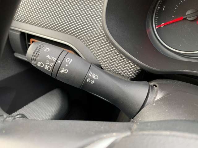 Fahrzeugbild eines Dacia Sandero