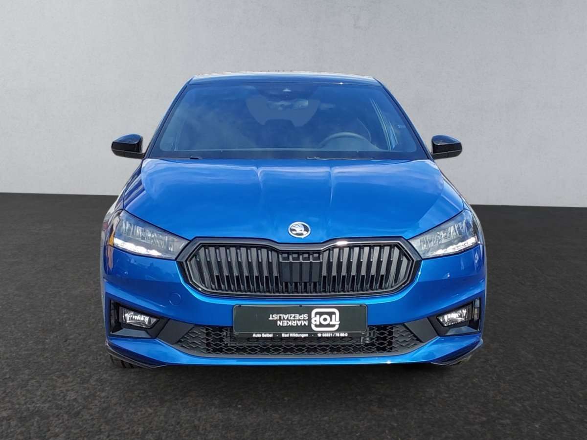 Fahrzeugbild eines Skoda Fabia