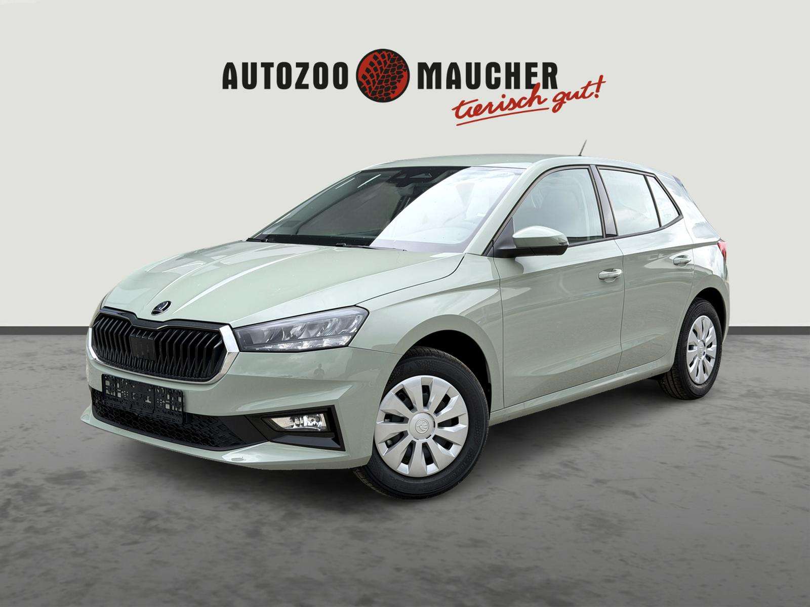 Fahrzeugbild eines Skoda Fabia
