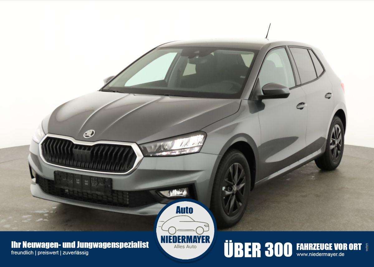 Fahrzeugbild eines Skoda Fabia