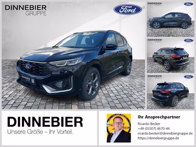 Bild Ford Kuga