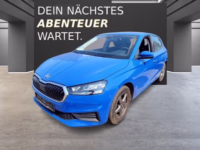 Bild Skoda Fabia