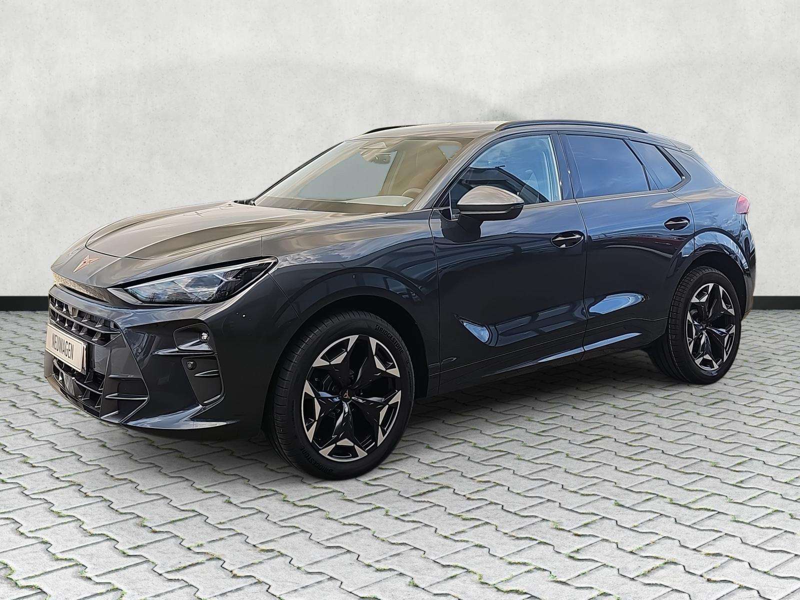 Fahrzeugbild eines CUPRA Terramar