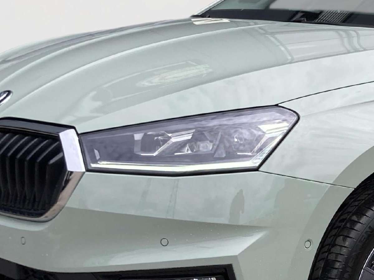 Fahrzeugbild eines Skoda Fabia