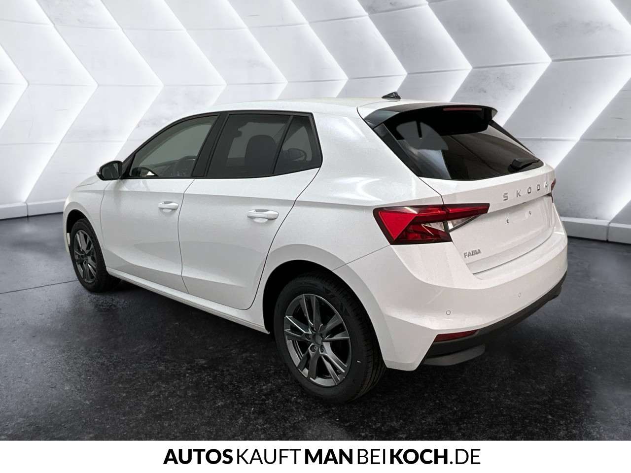 Fahrzeugbild eines Skoda Fabia