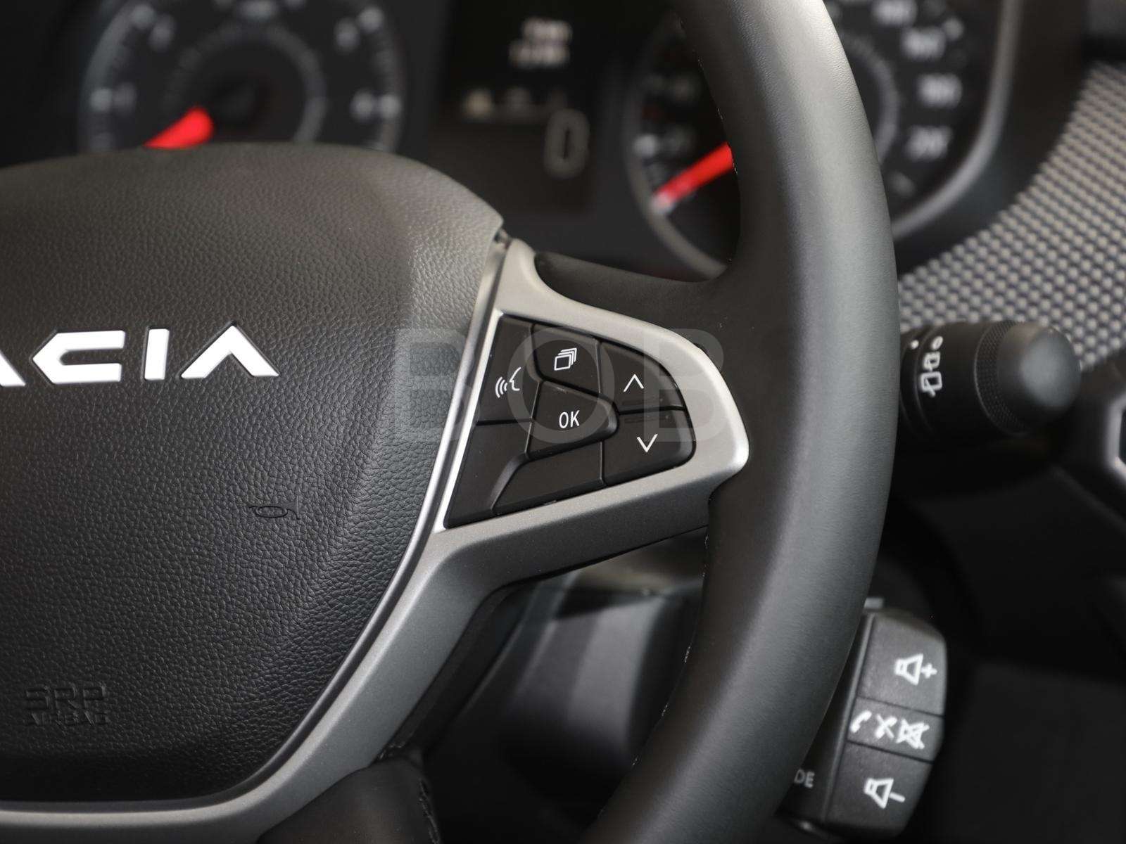 Fahrzeugbild eines Dacia Sandero