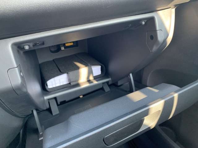 Fahrzeugbild eines Dacia Spring