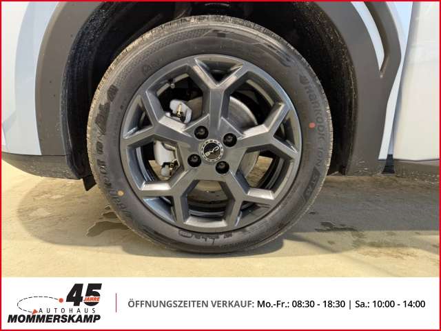 Fahrzeugbild eines BYD DOLPHIN