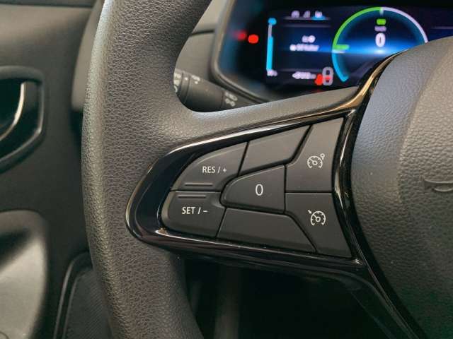 Fahrzeugbild eines Renault ZOE