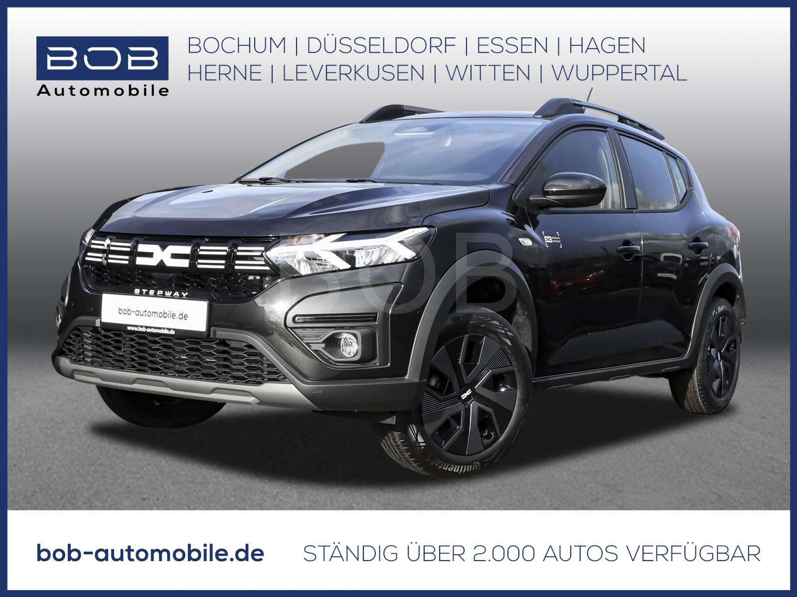 Fahrzeugbild eines Dacia Sandero