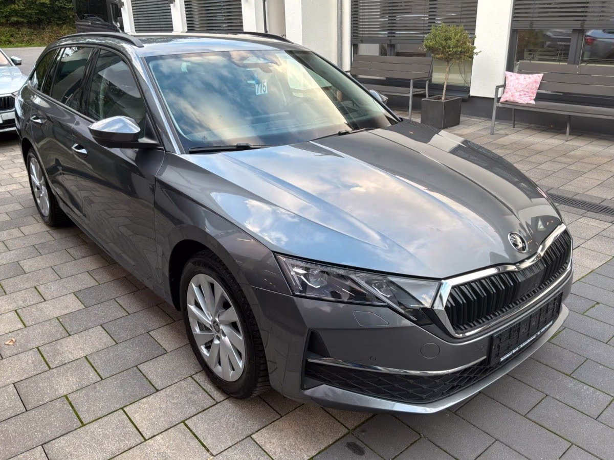 Fahrzeugbild eines Skoda Octavia