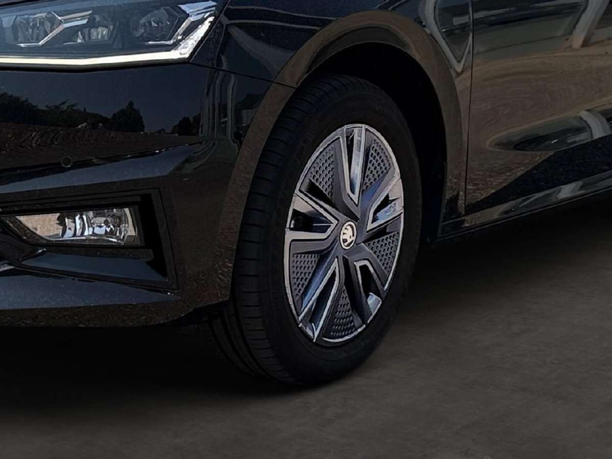 Fahrzeugbild eines Skoda Fabia