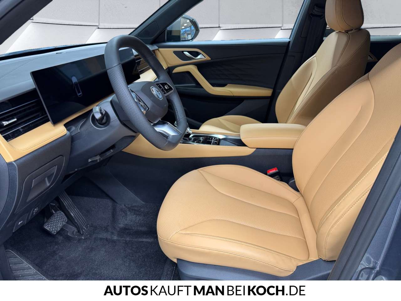 Fahrzeugbild eines MG HS